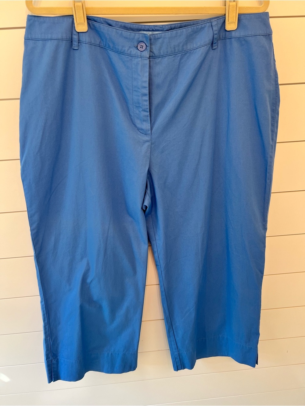 NWT EVAN PICONE  WIDE LEG CROP PANTS